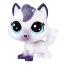 Одиночная зверюшка 'Сиамская кошка Birma Bluepoint', с качающейся головой, Littlest Pet Shop [B9829] - Одиночная зверюшка 'Сиамская кошка Birma Bluepoint', с качающейся головой, Littlest Pet Shop [B9829]
