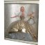 Кукла Барби 'Праздничная - 2000 год' (Celebration Barbie Special Edition 2000), коллекционная, Mattel [28269] - Celebration Barbie - 2000 Special Edition2.jpg