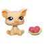 Одиночная зверюшка - Поросенок, специальная серия, Littlest Pet Shop, Hasbro [91471] - 90379a.jpg