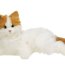 Интерактивная кошка 'Мурлыка Лулу' (Lulu), бело-рыжая, Hasbro [92464] - furreal-friends-lulu-my-cuddlin-kitty.jpg