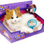 Интерактивная кошка 'Мурлыка Лулу' (Lulu), бело-рыжая, Hasbro [92464] - furreal-friends-lulu-my-cuddlin-kitty1.jpg