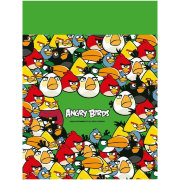 Мешок для обуви 'Angry Birds', зеленый, Centrum [84958]