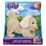 Интерактивный щенок 'Playful Goldie', FurReal, Hasbro [B9064] - Интерактивный щенок 'Playful Goldie', FurReal, Hasbro [B9064]
