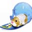 Игровые аксессуары DeLuxe 'Домик для сна и доска для серфинга', Zhu Zhu Pets, Cepia [86642] - Zhu-Zhu-Pets-Chomikowa-deska-surfingowa_Cepia-LLC,images_big,10,ZZP-86642.jpg