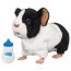 Интерактивная игрушка 'Новорожденная морская свинка', FurReal Friends, Hasbro [27170] - hasbro_27170-93966_1.jpg