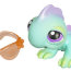 Игрушка Littlest Pet Shop - Single  Ящерица [22956] - LPS22956.jpg