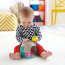 * Развивающая игрушка 'Сова с шариками' (2-in-1 Activity Chime Ball), Fisher Price [CDN46] - CDN46-4.jpg