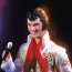 Кукла 'Элвис Пресли' (Elvis Presley in the Eagle Jumpsuit), коллекционная, из серии Timeless Treasures, Mattel [28570] - 28570-2.jpg