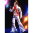 Кукла 'Элвис Пресли' (Elvis Presley in the Eagle Jumpsuit), коллекционная, из серии Timeless Treasures, Mattel [28570] - 28570-3.jpg