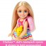 Игровой набор с куклой Челси 'Путешествие', Barbie, Mattel [HJY17] - Игровой набор с куклой Челси 'Путешествие', Barbie, Mattel [HJY17]