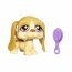 Одиночная зверюшка 2010 - Бассет Хаунд, Littlest Pet Shop, Hasbro [94577] - 2271700419B9F36910850F76EF5BEF50.jpg