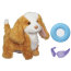 Интерактивная игрушка 'Ходячий щенок', Buttlerscotch & Friends, FurReal Friends, Hasbro [A8903] - A8903.jpg