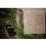 Книга 'Поезда', из серии 'Детская энциклопедия', Росмэн [05754-3] - 05754-3a.jpg