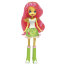 * Комплект из 6 кукол My Little Pony Equestria Girls (Девушки Эквестрии), Hasbro [A9224set] - A9259iv.jpg