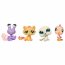 Подарочный набор 'Валентинка' с Морским котиком, Птичкой, Крабом и Котёнком, Littlest Pet Shop, Hasbro [14058] - 14057l9.jpg