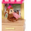 Игровой набор с куклой Барби 'Ветеринар', из серии 'Я могу стать', Barbie, Mattel [DVG11] - Игровой набор с куклой Барби 'Ветеринар', из серии 'Я могу стать', Barbie, Mattel [DVG11]