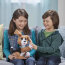 Интерактивный щенок 'Разговорчивый Чарли, Лающий Бигль', FurReal Friends, Hasbro [B9070] - Интерактивный щенок 'Разговорчивый Чарли, Лающий Бигль', FurReal Friends, Hasbro [B9070]