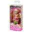 Кукла 'Челси с жирафом' (Chelsie), Barbie, Mattel [BDG34] - BDG34-1.jpg