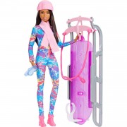 Набор с куклой Барби 'Сани', Barbie, Mattel [HGM74]