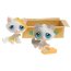 * Зверюшки из серии 'Парочки' - Котята в коробке, Littlest Pet Shop [50487] - 50487 2 Kittens in Box a (2).jpg