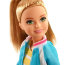 Кукла Стейси (Stacie), из серии 'Путешествие', Barbie, Mattel [FWV16] - Кукла Стейси (Stacie), из серии 'Путешествие', Barbie, Mattel [FWV16]