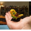 Конструктор 'Желтый Попугайчик' из серии 'Животные', nanoblock [NBC-004] - NBC_004-2.jpg