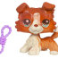 Зверюшка в сумочке 2010 - Колли, Littlest Pet Shop, Hasbro [94413] - Case Collie.jpg