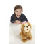 Интерактивный ходячий щенок GoGo's Walkin' Puppies - Mini Morkie, коричневый, FurReal Friends, Hasbro [A2616] - A2616-3.jpg
