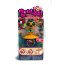 Игровой набор 'Жираф в домике', Зублс из серии Azoozia, Zoobles [43832] - 287 Azoozia Collection - 287 NECKY (also known as NECKOLAS) and Happitat 1.jpg