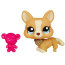 Одиночная сверкающая зверюшка 2011 - Корги, Littlest Pet Shop, Hasbro [26598] - 26598.jpg
