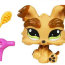 Зверюшка в сумочке - Йоркширский Терьер, Littlest Pet Shop, Hasbro [91243] - Purses 3.jpg