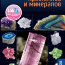 Набор 'Чудесный мир кристаллов и минералов', LabZZ! [15858] - crystally_vidy.jpg