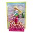 Мини-кукла Барби 'Лыжница' из серии 'Кем быть?', 10 см, Barbie, Mattel [CBF84] - CBF84-1a.jpg