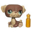 Одиночная зверюшка - Мопс, специальная серия, Littlest Pet Shop, Hasbro [91476/90376] - 90376a.jpg