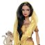 Барби Индия (India Barbie Doll) из серии 'Куклы мира', Barbie Pink Label, коллекционная Mattel [W3322] - W3322-5.jpg