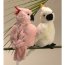 Мягкая игрушка 'Попугай Какаду Инка (Митчелла)', 26 см, National Geographic [1504705ci] - cacatos-blanc-national-geographic-19566456[4].jpg
