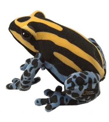 Мягкая игрушка 'Лягушка Древолаз Dendrobates ventrimaculatus', 19 см, National Geographic [1505252dv] Мягкая игрушка 'Лягушка Древолаз Dendrobates ventrimaculatus', 19 см, National Geographic [1505252dv]