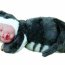 Кукла 'Спящий младенец-котенок', 23 см, Anne Geddes [579122] - AN_579122_2040_48bbcd3757bd5.jpg